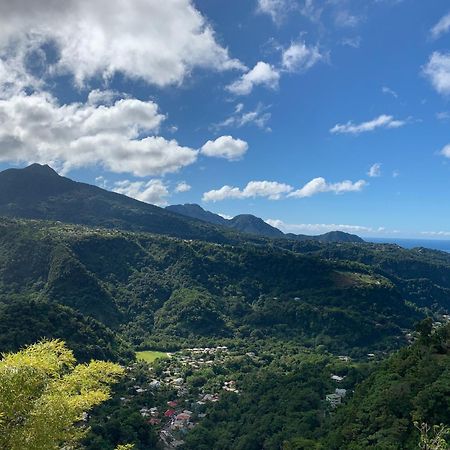 Le Petit Paradis Roseau Kültér fotó