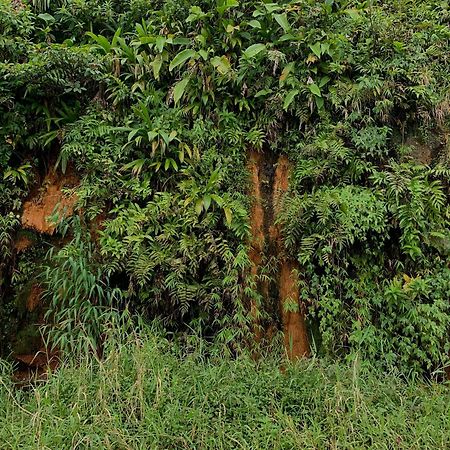 Le Petit Paradis Roseau Kültér fotó