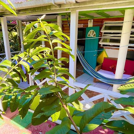 Le Petit Paradis Roseau Kültér fotó