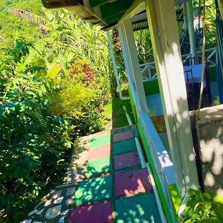 Le Petit Paradis Roseau Kültér fotó