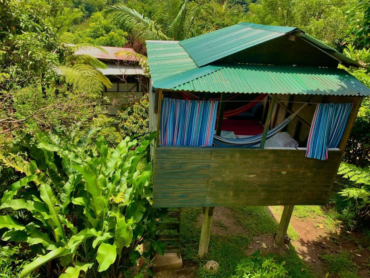 Le Petit Paradis Roseau Kültér fotó