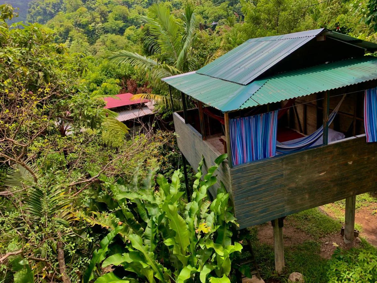 Le Petit Paradis Roseau Kültér fotó