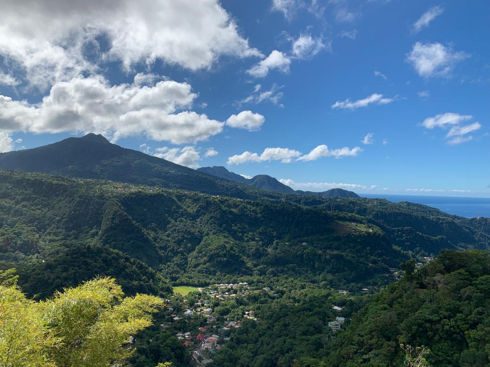 Le Petit Paradis Roseau Kültér fotó