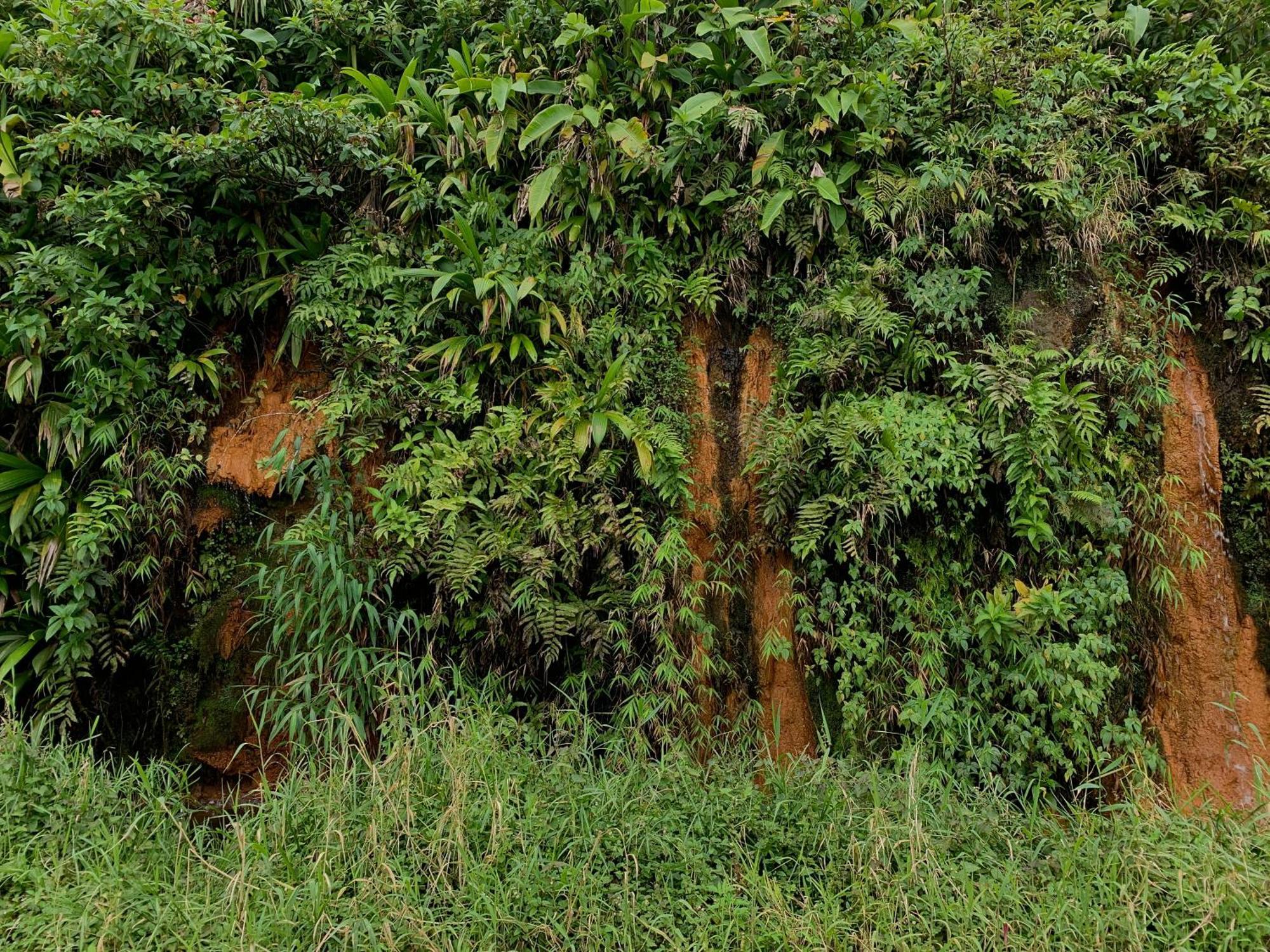 Le Petit Paradis Roseau Kültér fotó