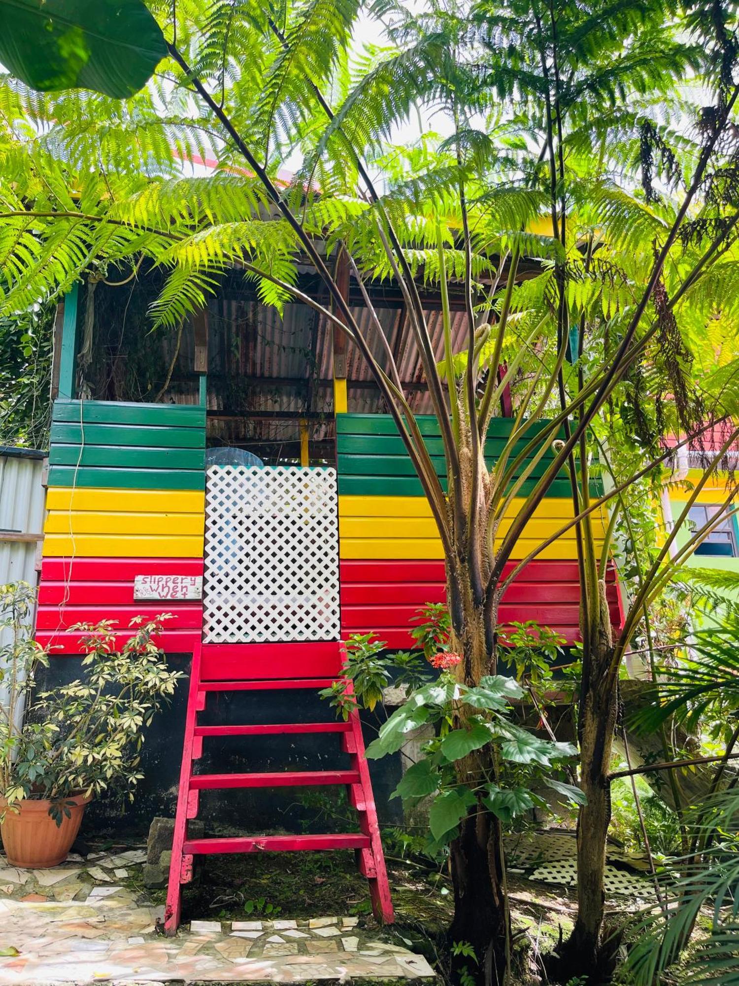 Le Petit Paradis Roseau Kültér fotó