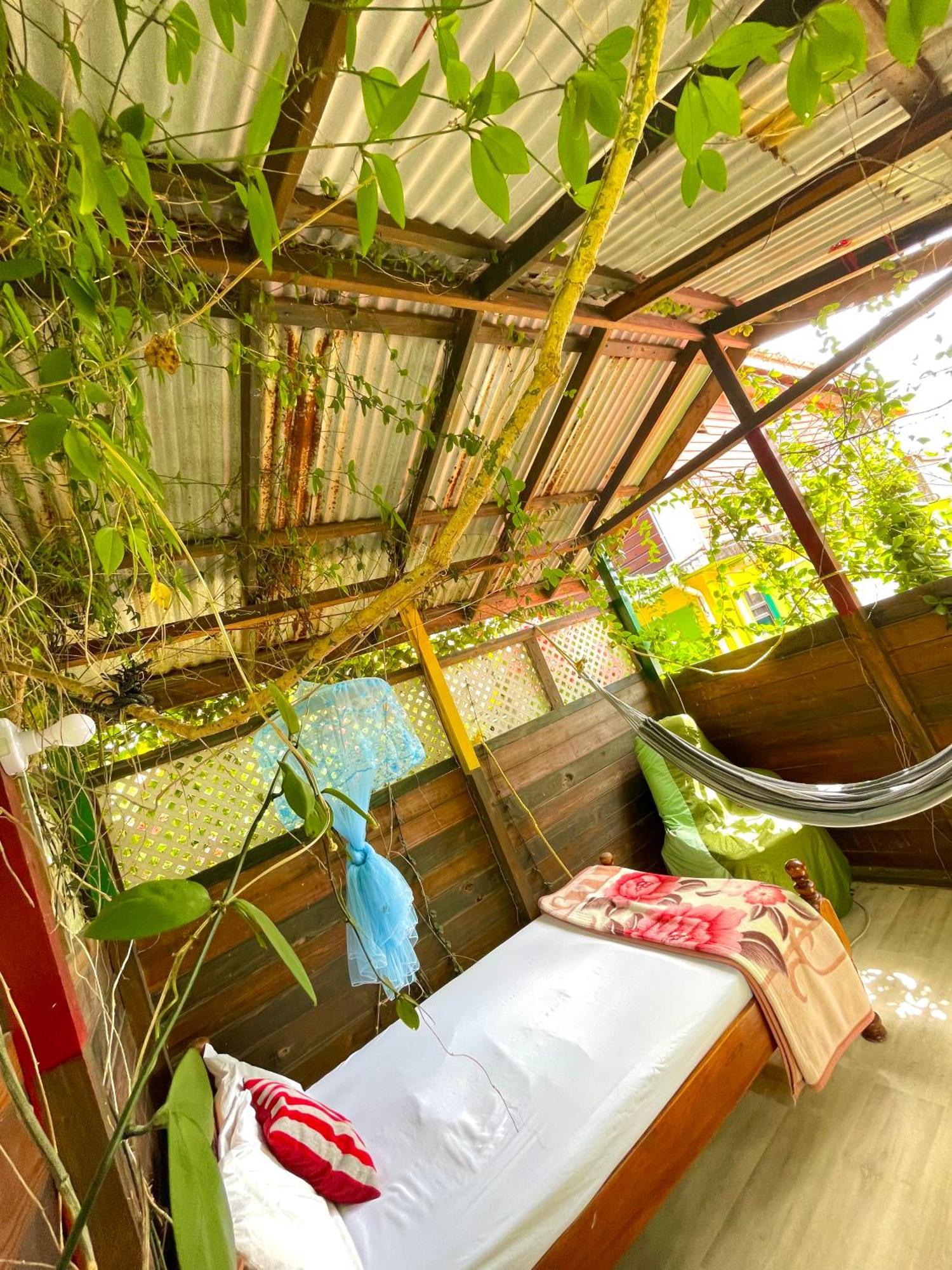 Le Petit Paradis Roseau Kültér fotó