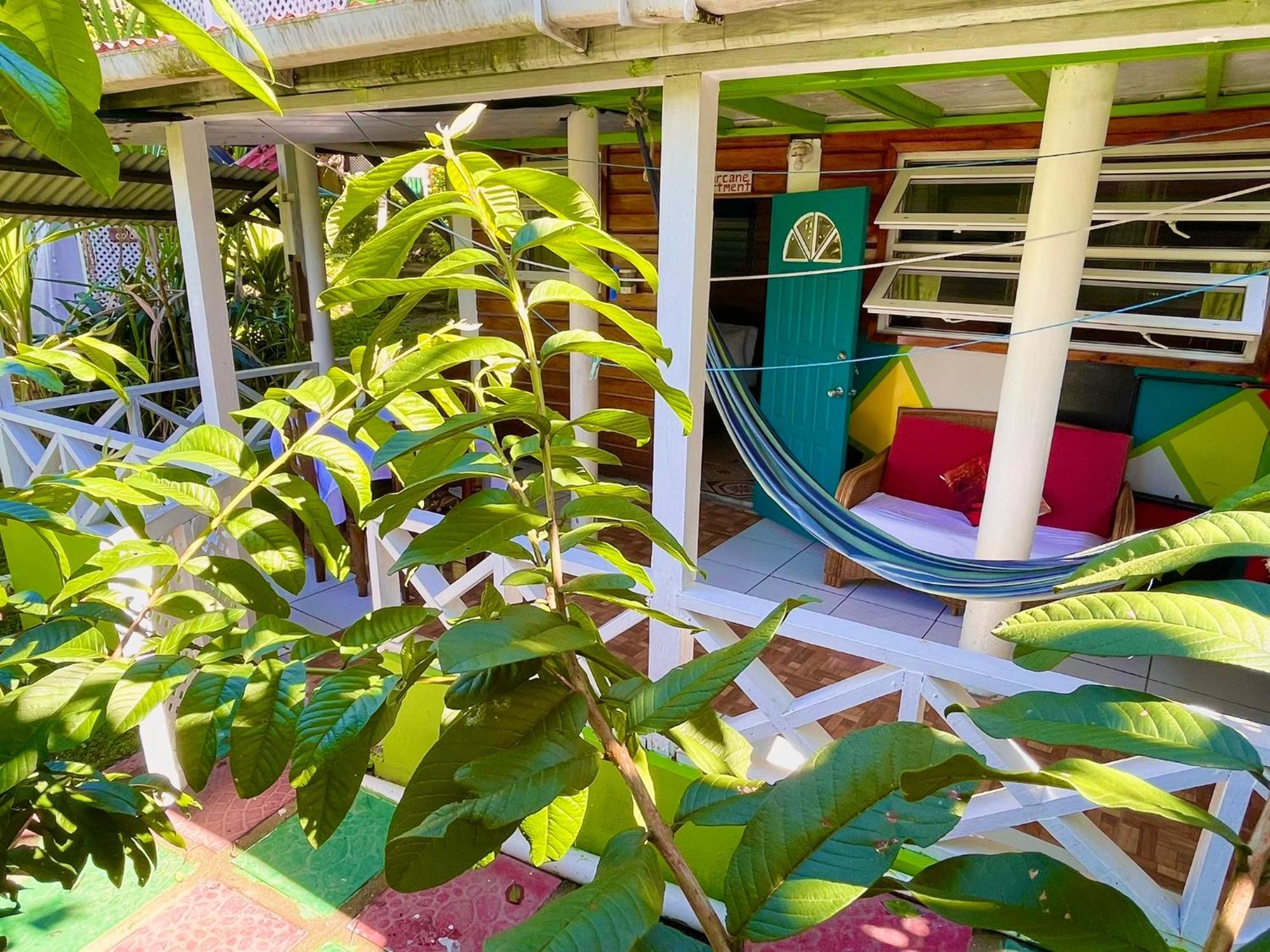 Le Petit Paradis Roseau Kültér fotó