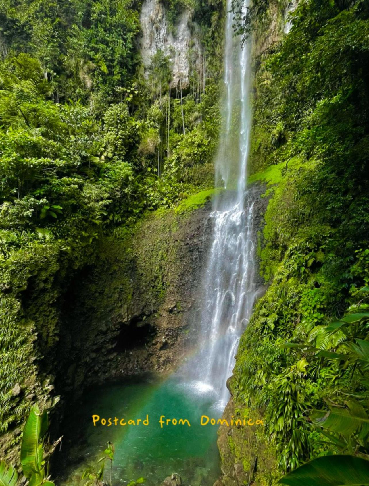 Le Petit Paradis Roseau Kültér fotó